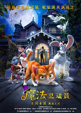 公开调教